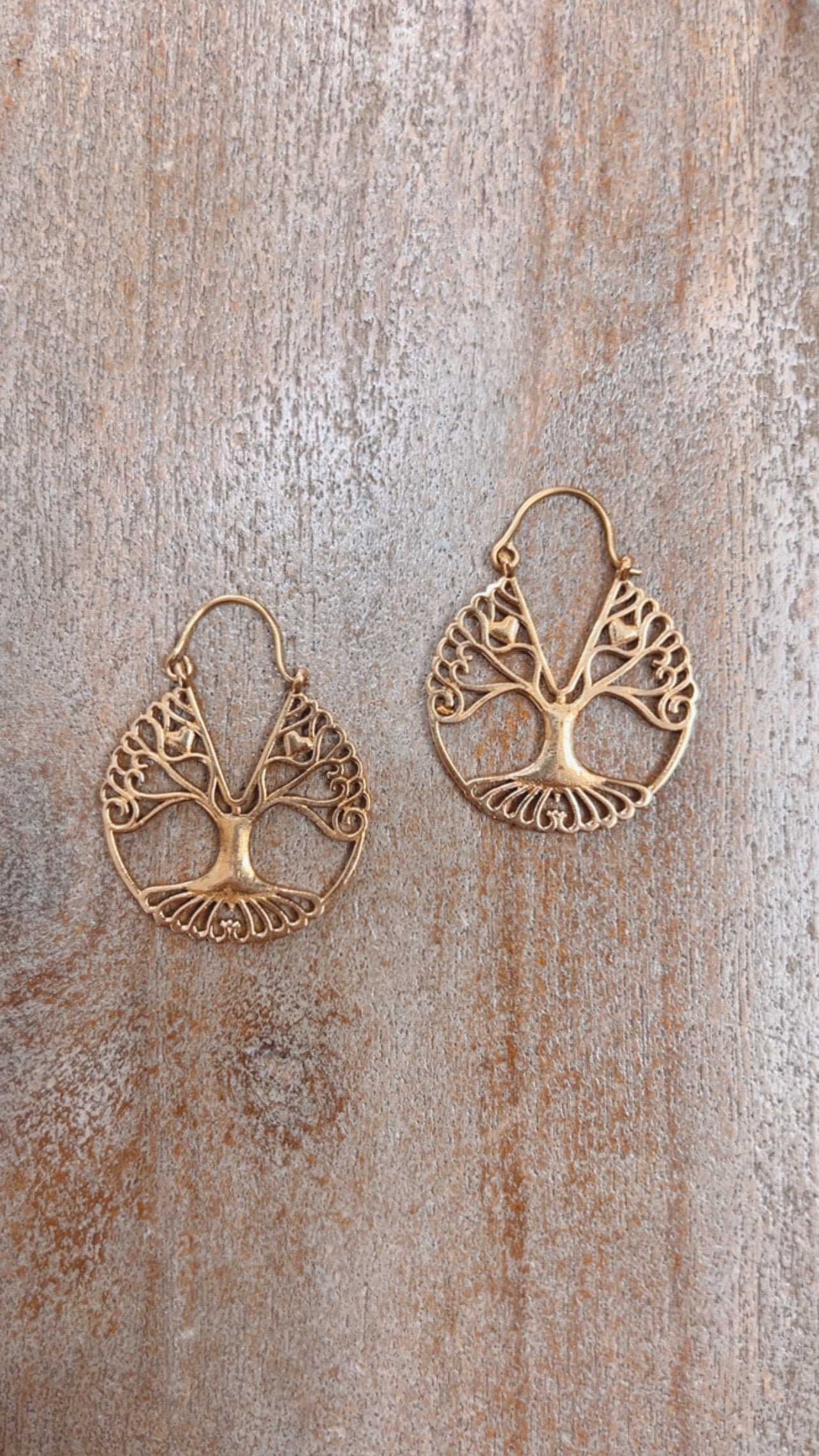 Brass Earrings