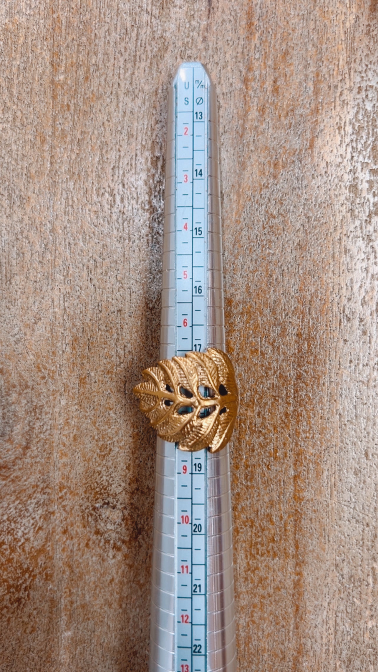 Brass Ring #7