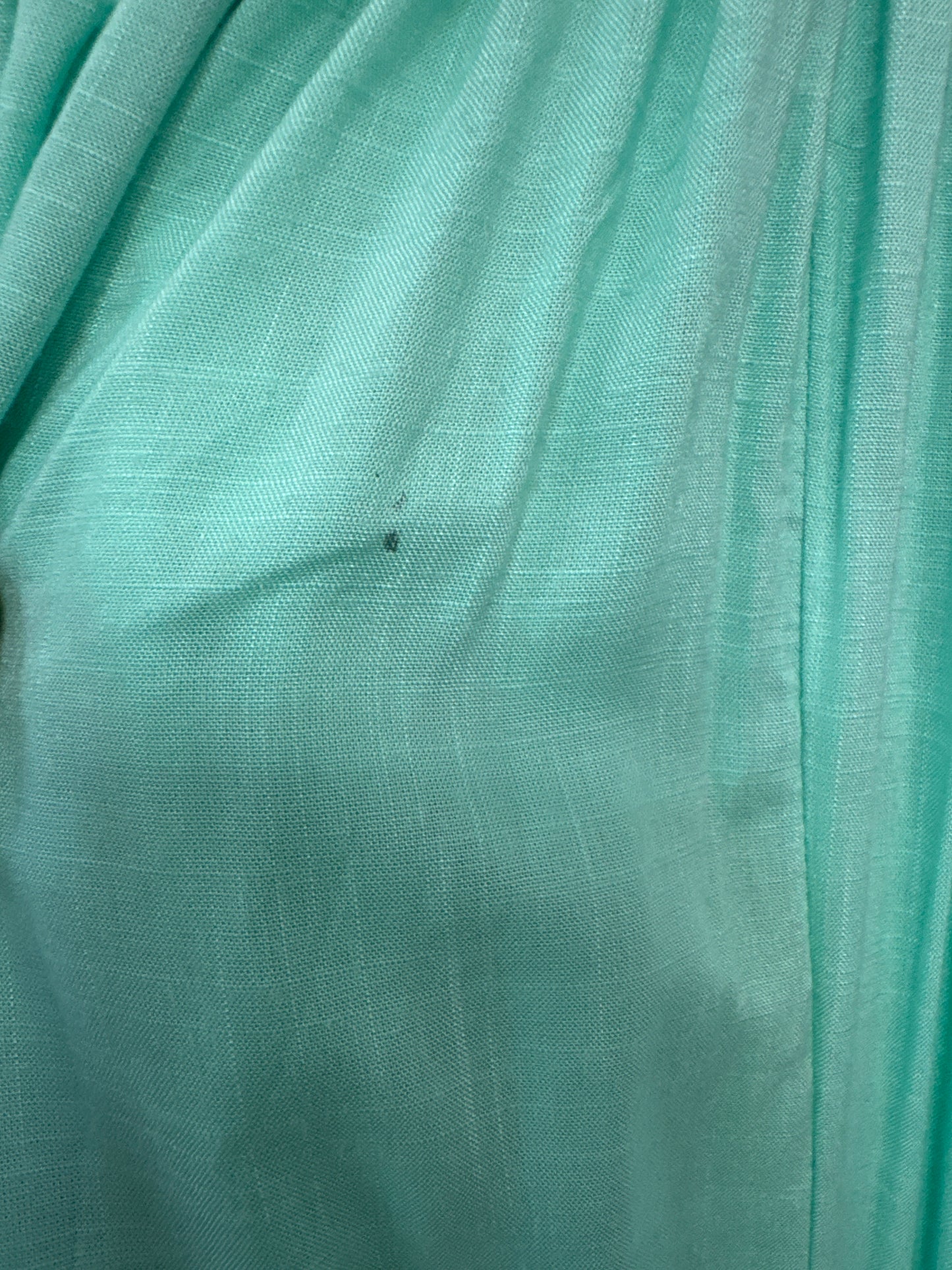 Damage Sasha Pant- Blue Mint